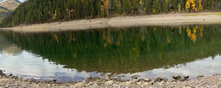 Glacier National Park Fishing License: What You Actually Need Before You Fish