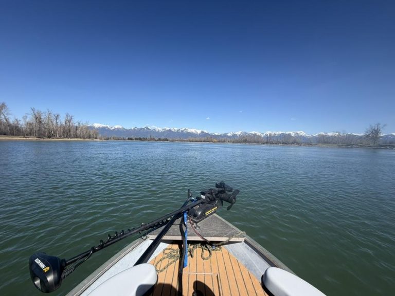 Jet boat moving down the Flathead River near Glacier National Park with the Swa mountains in the background.