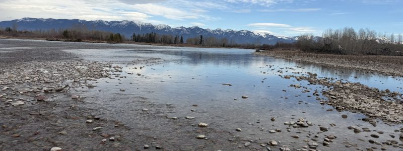 West Glacier Fly Fishing Guide: What to Expect on Your First Trip
