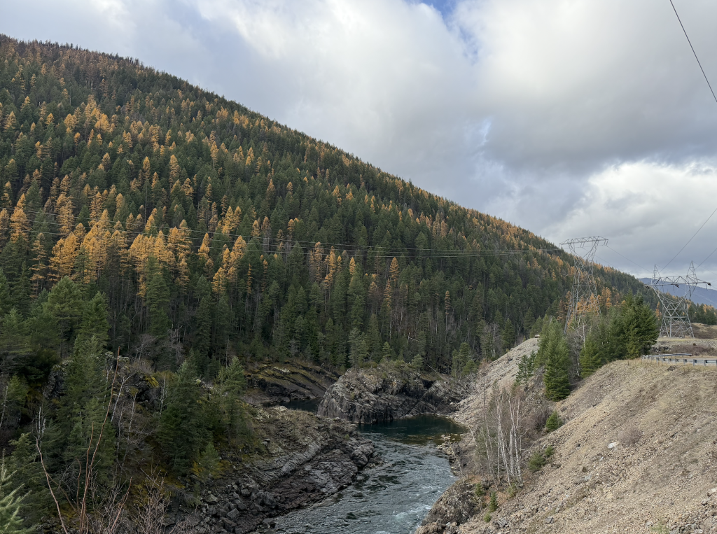 west glacier fly fishing