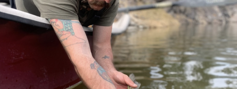 Aquatic Invasive Species in Montana: What Every Angler Should Know Before Fishing More Than One River