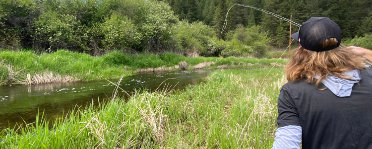 Small Water Fly Fishing Near Glacier National Park: What Makes a Remote Fishery Worth Finding